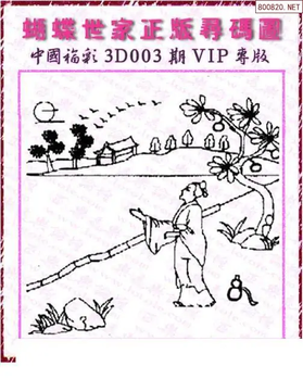 26003期: 3D蝴蝶世家蝴蝶彩图