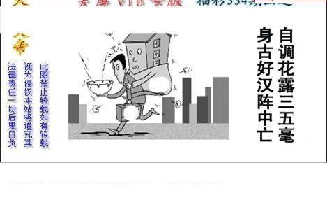 24334期: 白老3D杀码图版