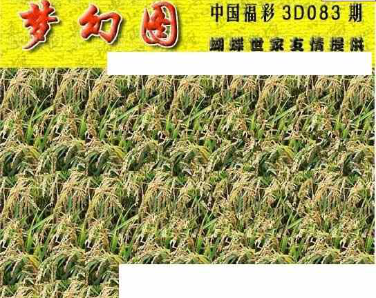 24083期: 3D蝴蝶世家蝴蝶彩图