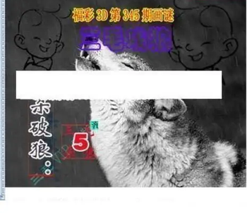 25345期: 三毛3D精品图谜