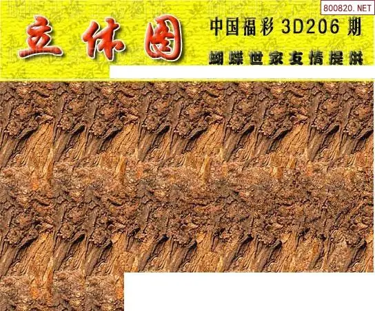 25206期: 3D蝴蝶世家蝴蝶彩图