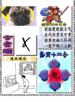 福彩3D 26044期佐罗图一掌经预测图