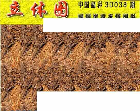 25038期: 3D蝴蝶世家蝴蝶彩图