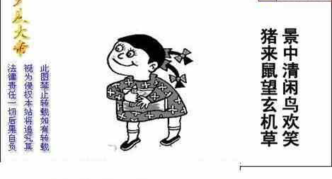 24209期: 白老3D杀码图版