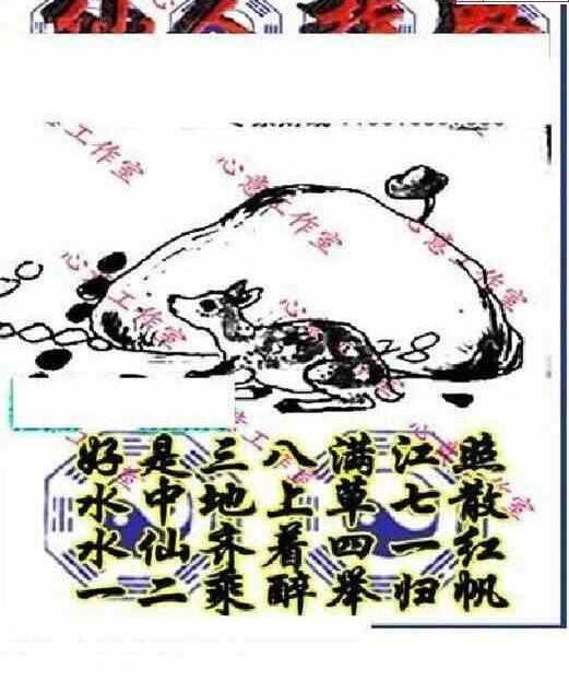 24102期: 三毛3D精品图谜