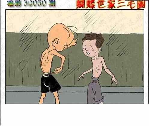 25050期: 3D蝴蝶世家蝴蝶彩图