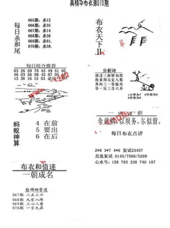 26070期: 福彩3D全套图版参考