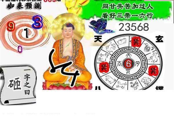 25003期: 白老3D杀码图版