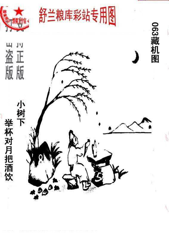 25063期: 老村长福彩3D天天图谜