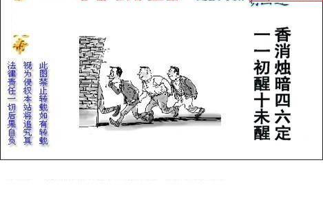 24336期: 白老3D杀码图版