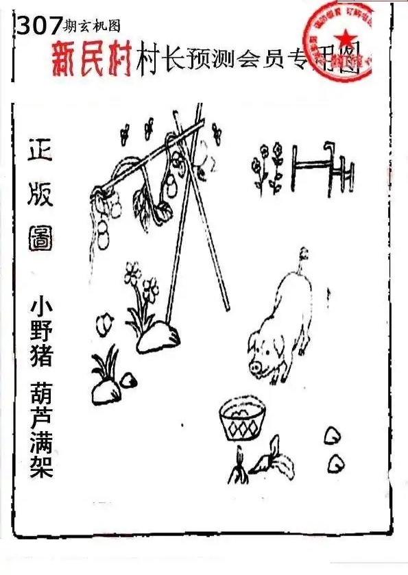 25307期: 老村长福彩3D天天图谜