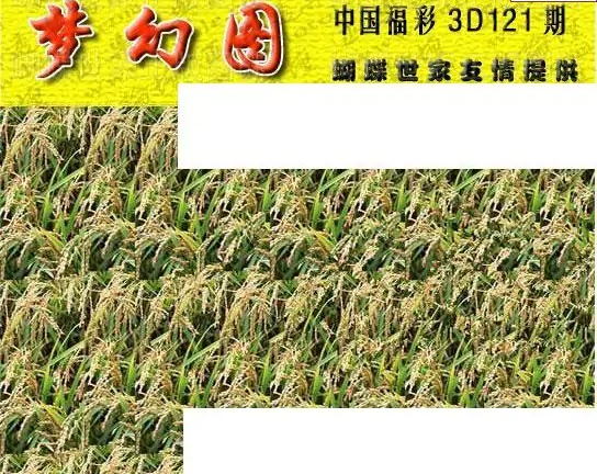 25121期: 3D蝴蝶世家蝴蝶彩图