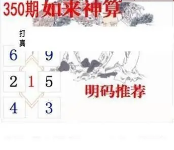 25350期: 白老3D杀码图版