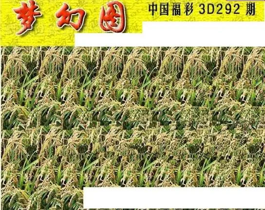 25292期: 3D蝴蝶世家蝴蝶彩图