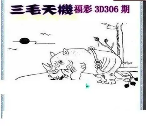 25306期: 三毛3D精品图谜
