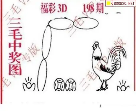 25198期: 三毛3D精品图谜