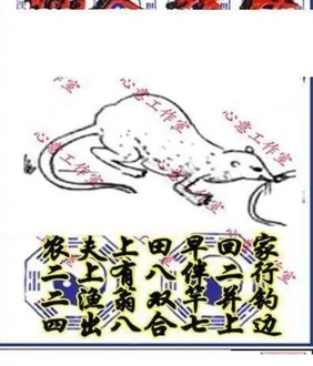 25351期: 三毛3D精品图谜