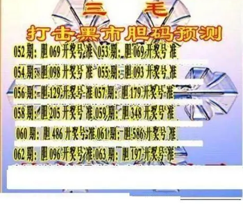 26063期: 三毛3D精品图谜