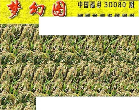 25080期: 3D蝴蝶世家蝴蝶彩图