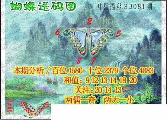 24081期: 3D蝴蝶世家蝴蝶彩图