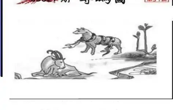 25327期: 三毛3D精品图谜