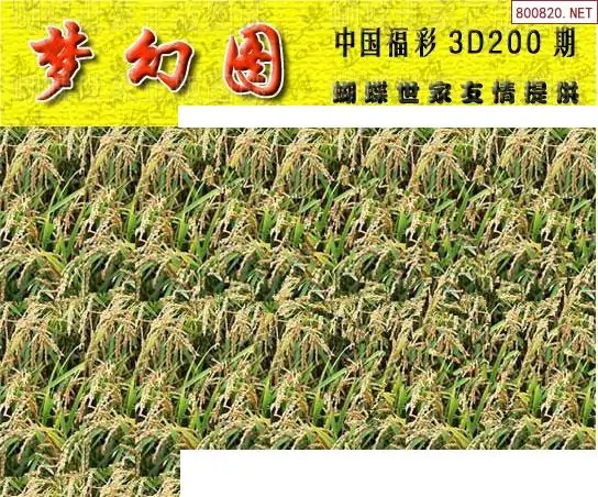 25200期: 3D蝴蝶世家蝴蝶彩图