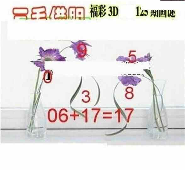 24125期: 三毛3D精品图谜