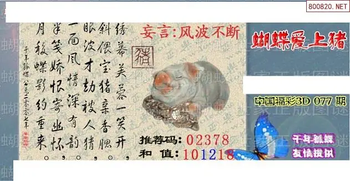 26077期: 3D蝴蝶世家蝴蝶彩图