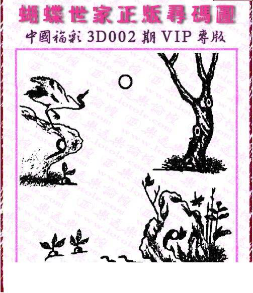 25002期: 3D蝴蝶世家蝴蝶彩图