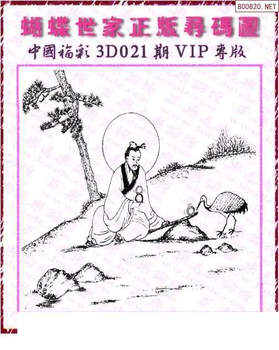 26021期: 3D蝴蝶世家蝴蝶彩图