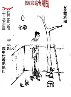 25344期: 老村长福彩3D天天图谜