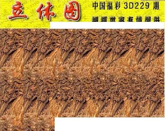 25229期: 3D蝴蝶世家蝴蝶彩图