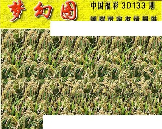 25133��: 3D�������Һ�����ͼ