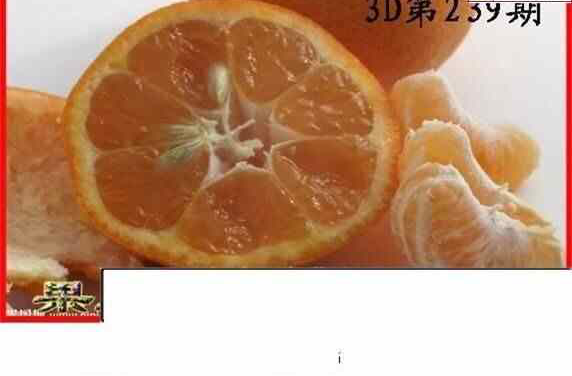 24239期: 白老3D杀码图版