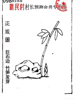 26098期: 老村长福彩3D天天图谜