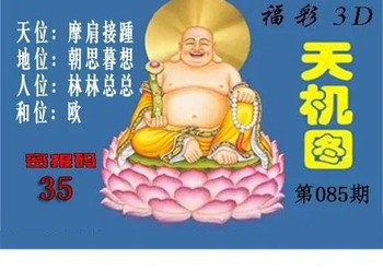3D085期：北盟天机图迷