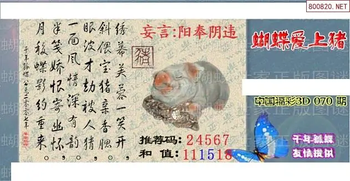 26070期: 3D蝴蝶世家蝴蝶彩图