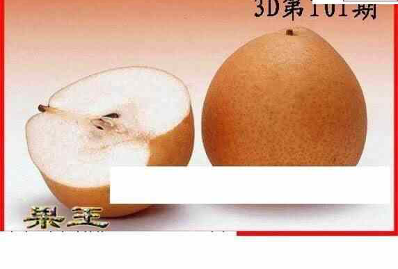 24101期: 白老3D杀码图版