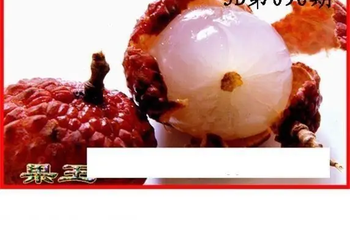 26096期: 白老3D杀码图版