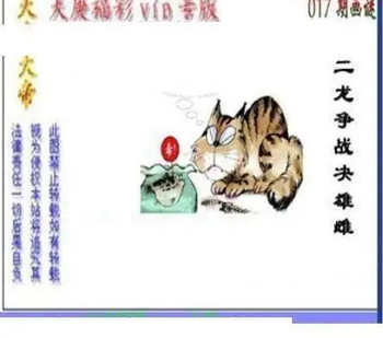 26017期: 三毛3D精品图谜