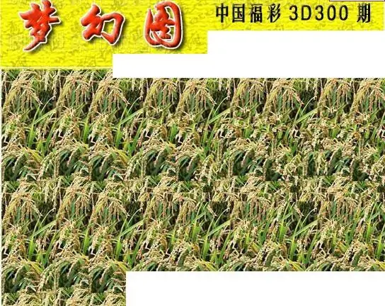 25300期: 3D蝴蝶世家蝴蝶彩图