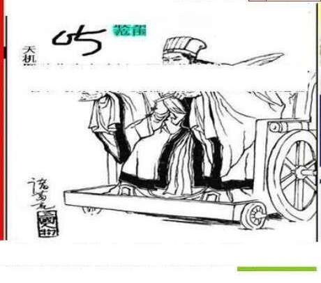 25008期: 三毛3D精品图谜