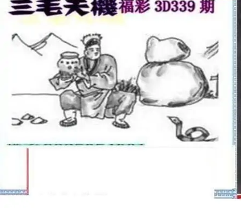 25339期: 三毛3D精品图谜