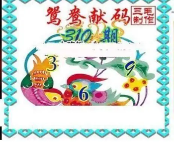 25310期: 三毛3D精品图谜