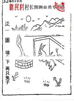 25324期: 老村长福彩3D天天图谜