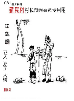 26081期: 老村长福彩3D天天图谜