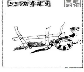 25337期: 三毛3D精品图谜