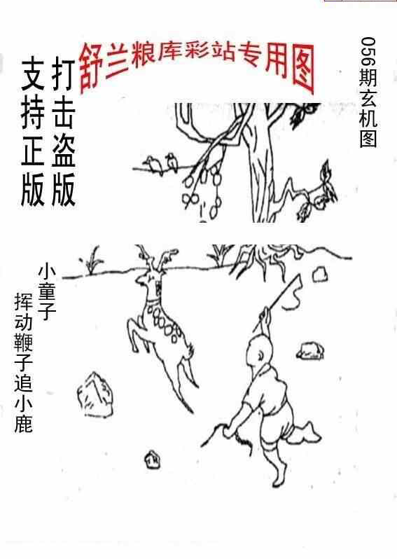 25056期: 老村长福彩3D天天图谜