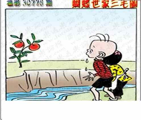 24228期: 3D蝴蝶世家蝴蝶彩图