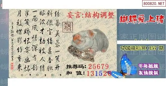 25157期: 3D蝴蝶世家蝴蝶彩图